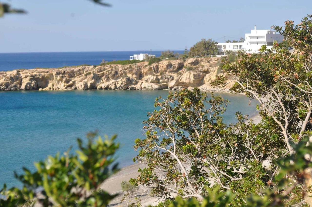 Beachfront Villa On Crete - Kirvas, Member Of Pelagaios Villas 코츠나리 외부 사진